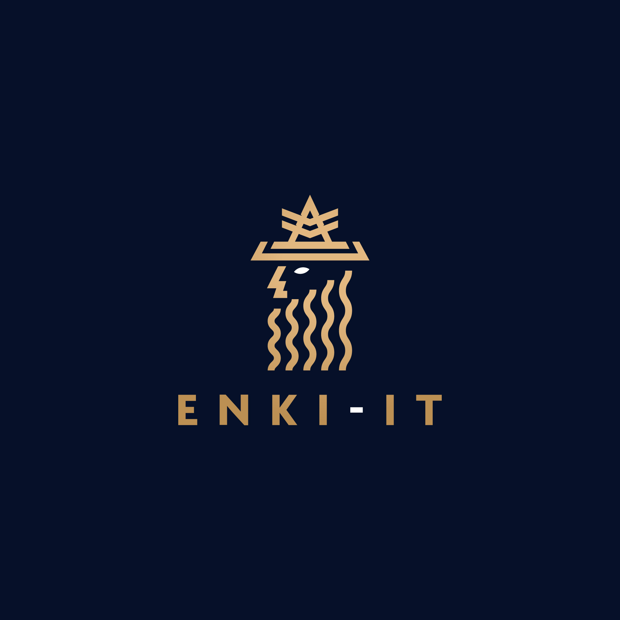 ENKI-IT